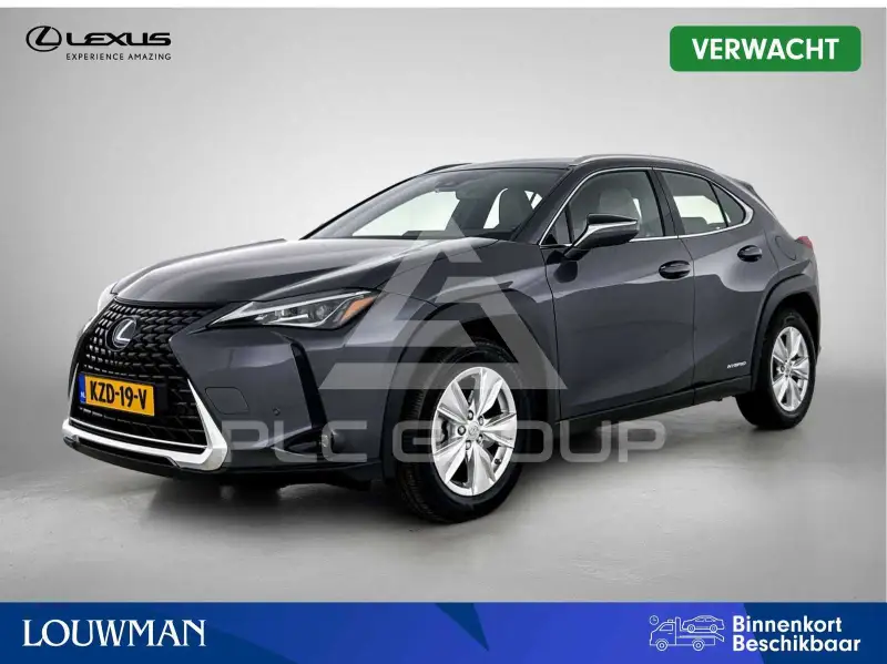 2022 Lexus UX250