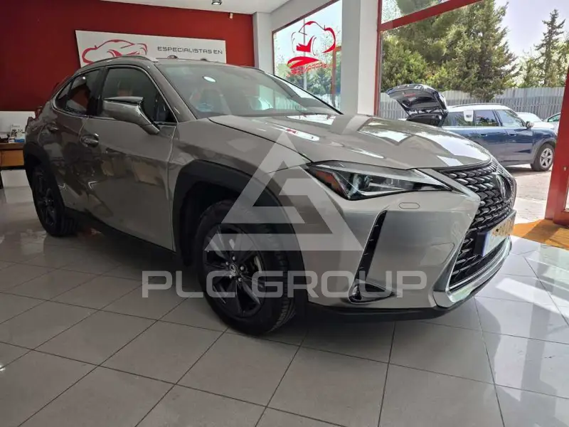2022 Lexus UX250