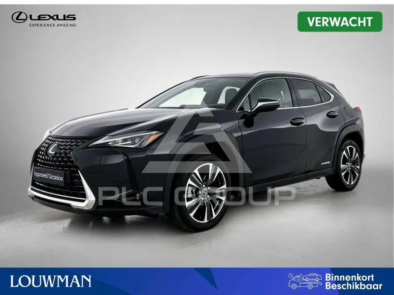 2022 Lexus UX250