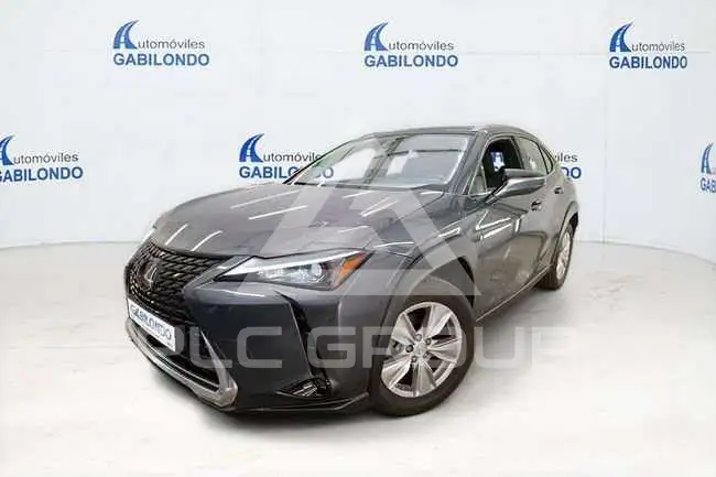2022 Lexus UX250