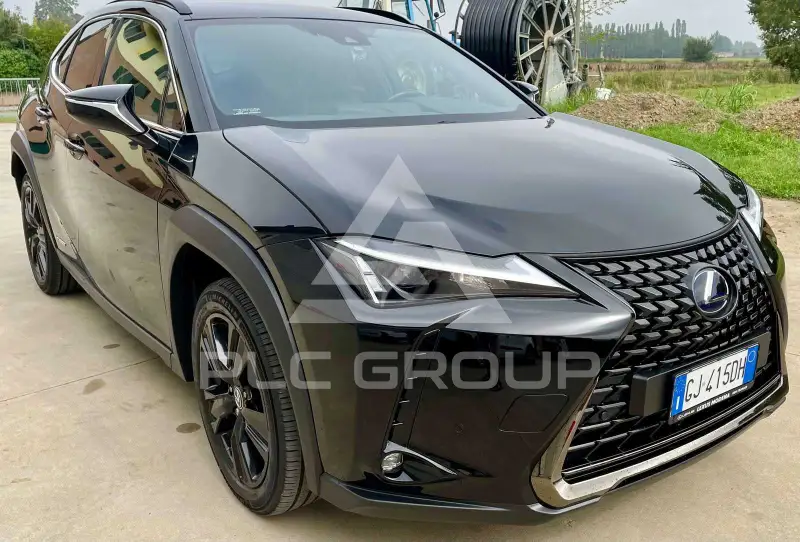 2022 Lexus UX250