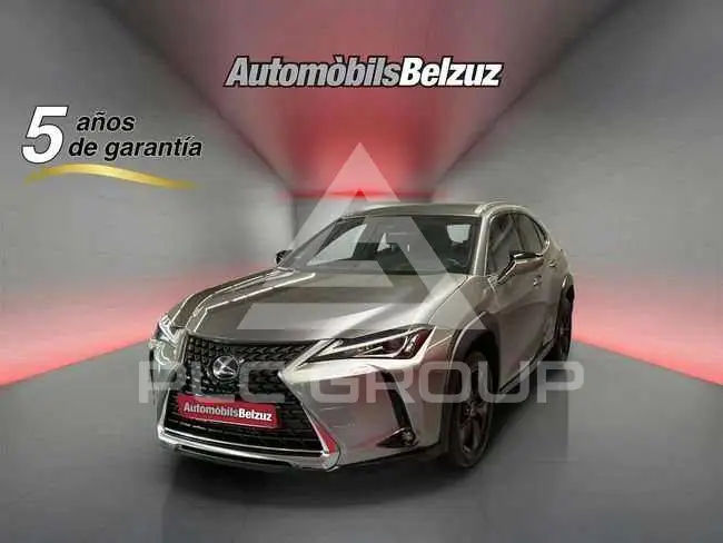 2022 Lexus UX250
