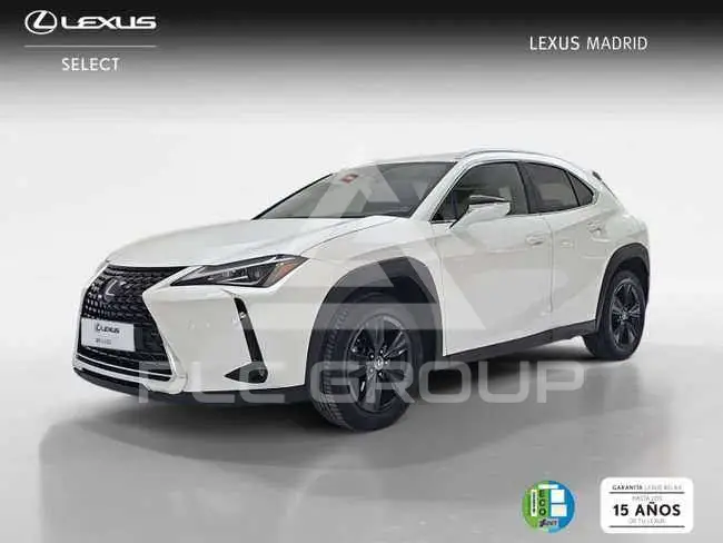 2022 Lexus UX250