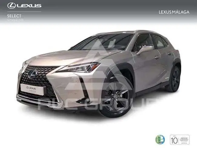 2022 Lexus UX250