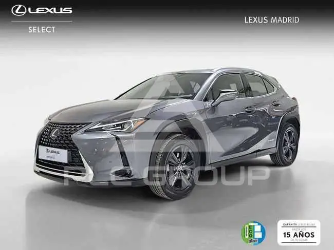 2022 Lexus UX250