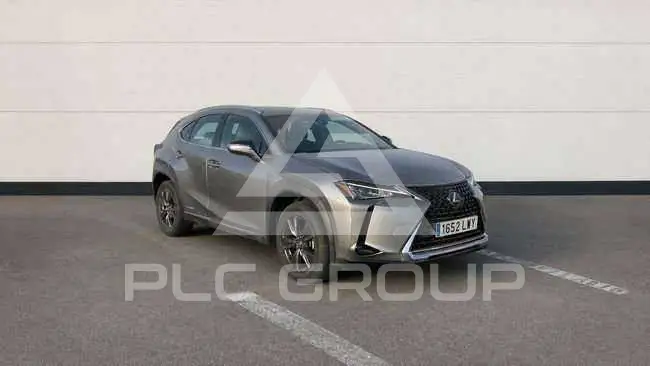 2022 Lexus UX250