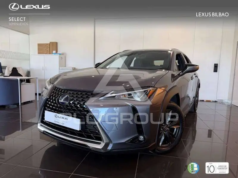 2022 Lexus UX250