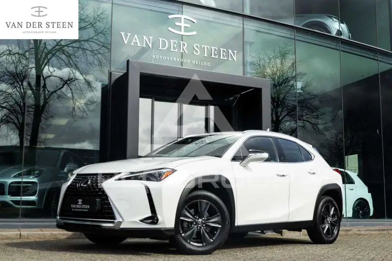 2022 Lexus UX250