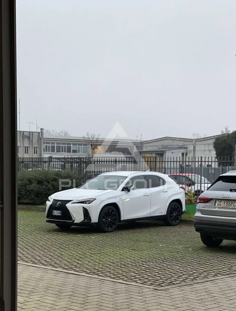 2022 Lexus UX250