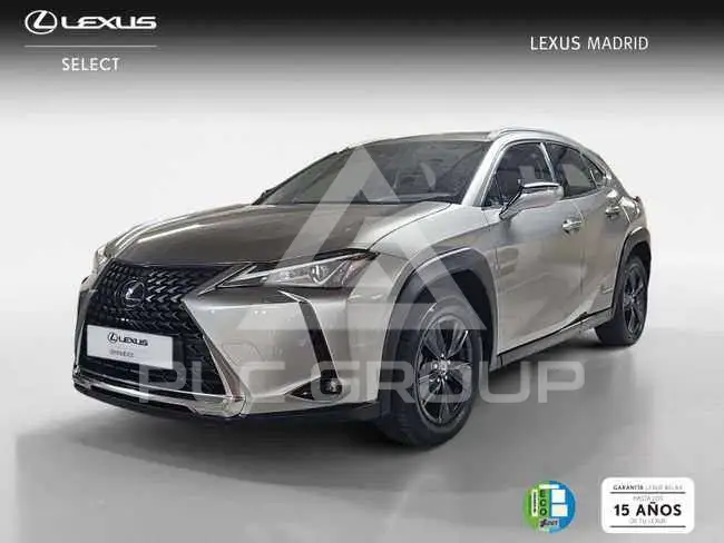2022 Lexus UX250