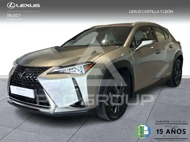 2022 Lexus UX250