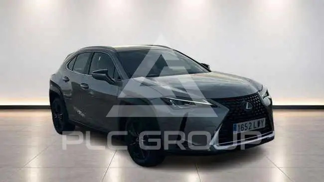 2022 Lexus UX250