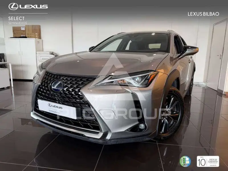2022 Lexus UX250