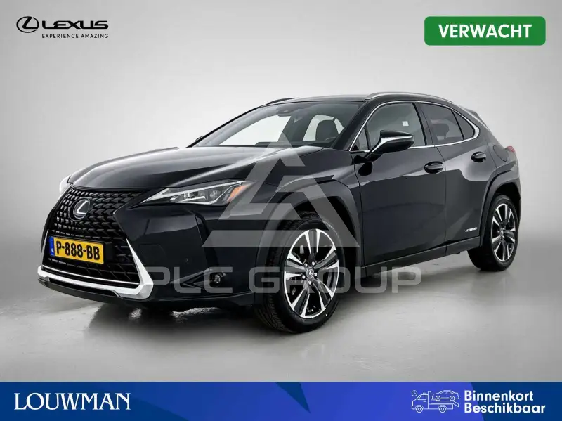 2022 Lexus UX250