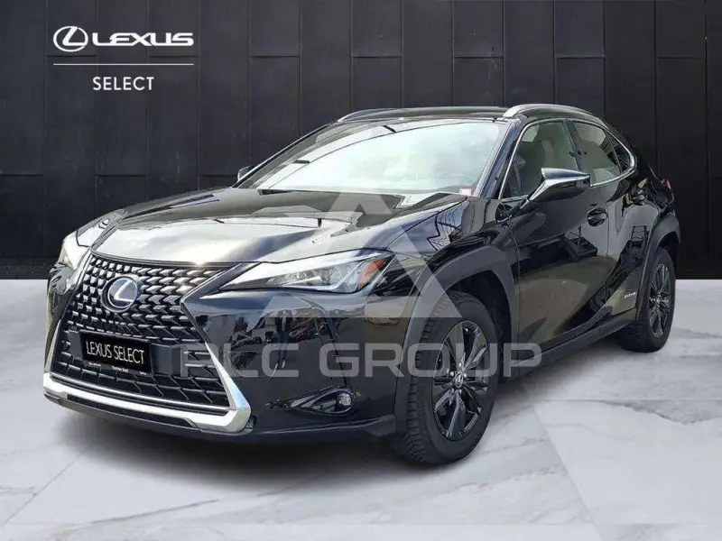 2022 Lexus UX250