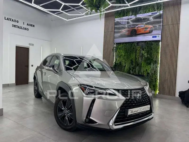 2022 Lexus UX250