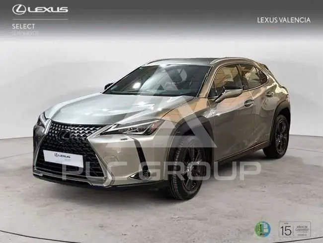2022 Lexus UX250