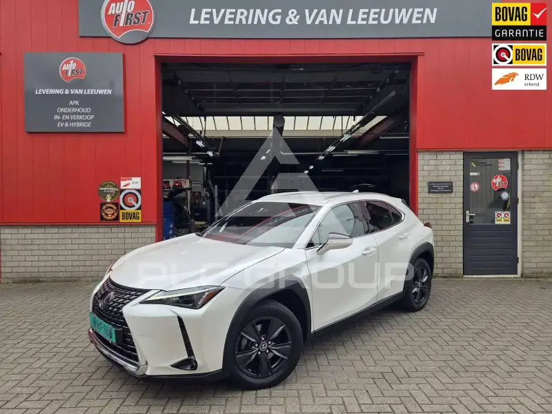 2022 Lexus UX250