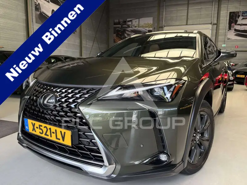2022 Lexus UX250