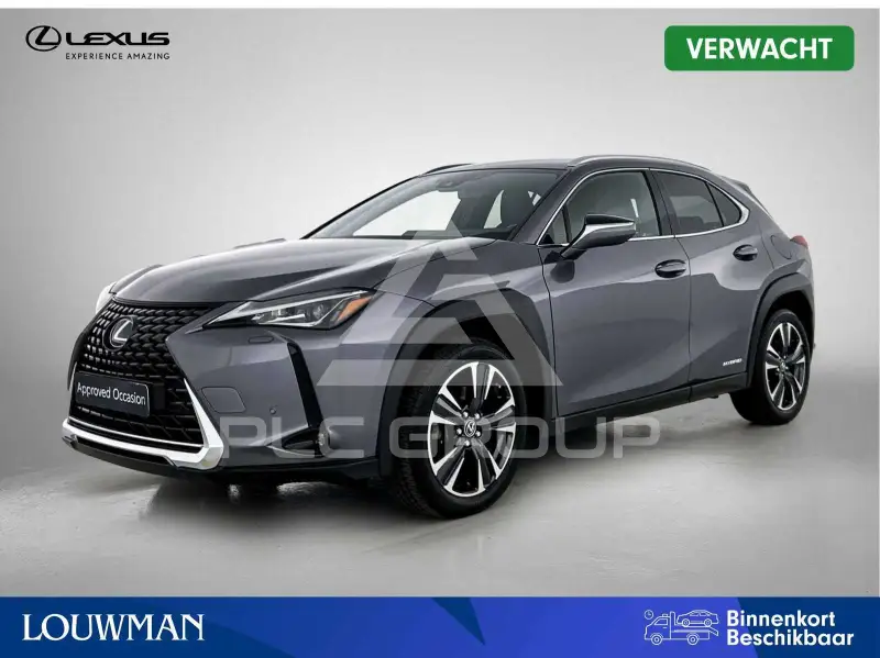2022 Lexus UX250