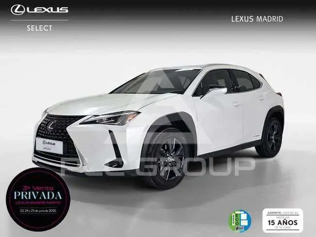 2022 Lexus UX250