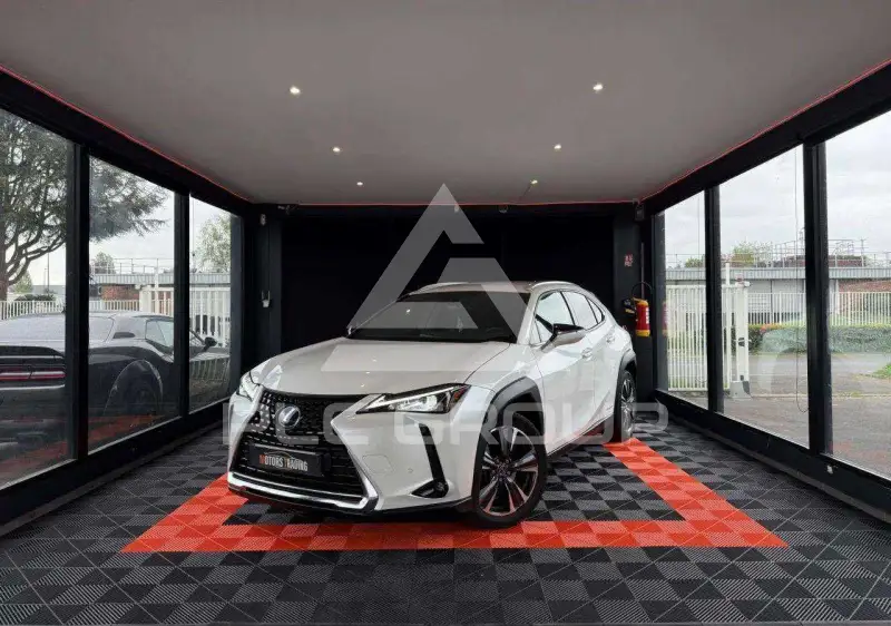 2022 Lexus UX250