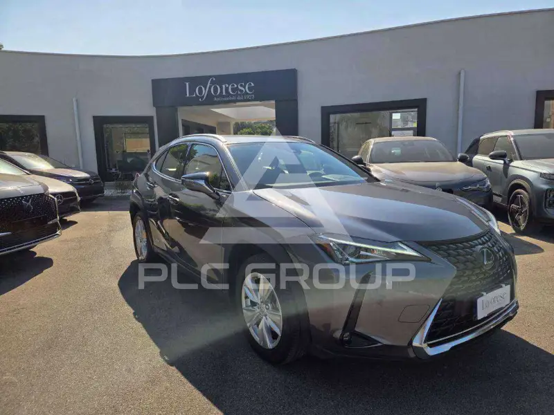 2022 Lexus UX250