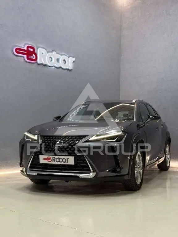 2022 Lexus UX250