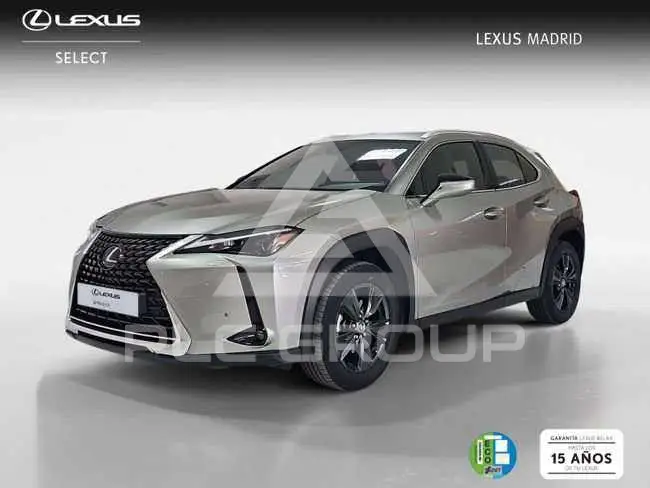 2022 Lexus UX250