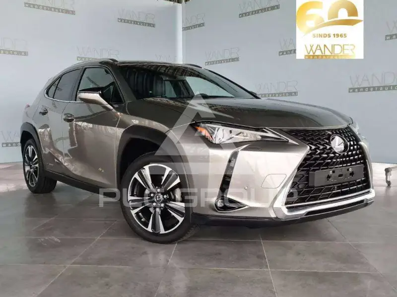 2022 Lexus UX250