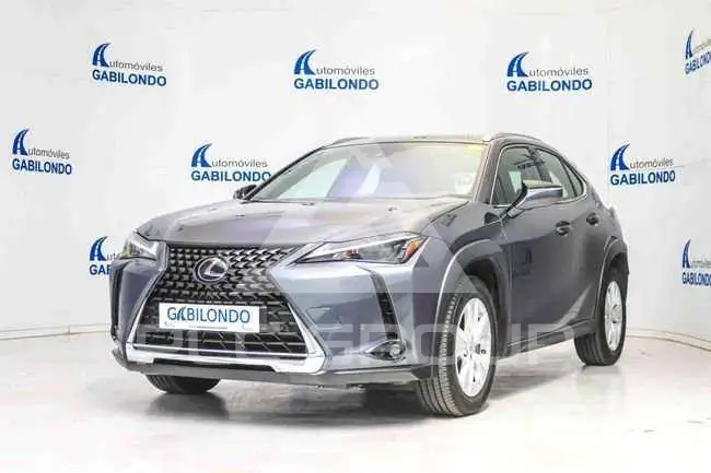2022 Lexus UX250
