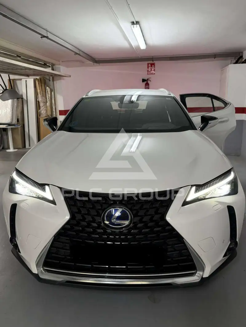 2022 Lexus UX250
