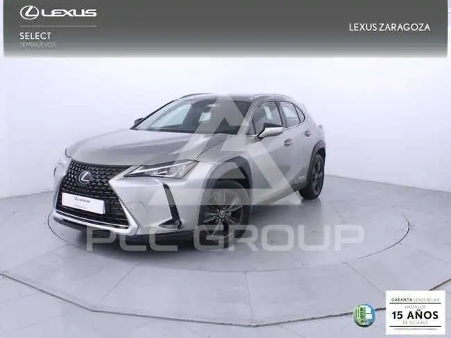 2022 Lexus UX250