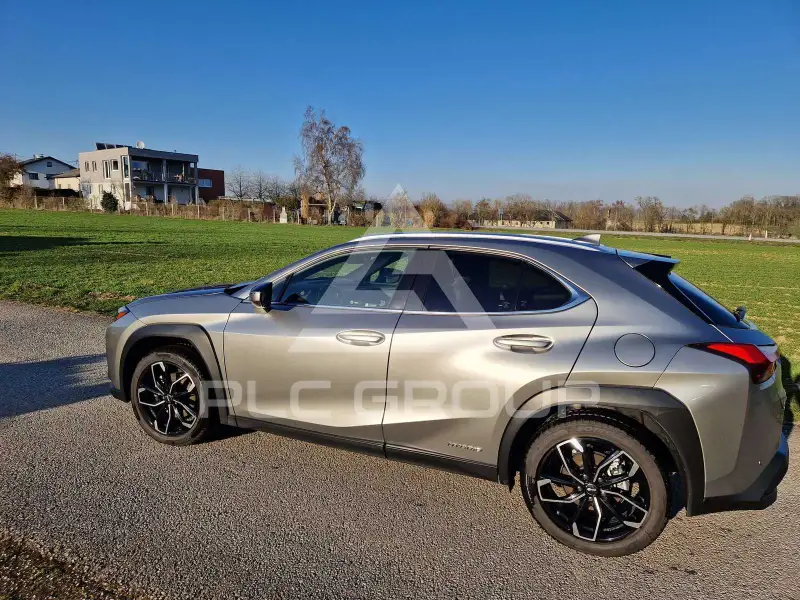 2022 Lexus UX250