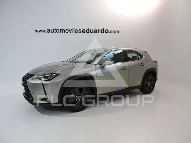 2022 Lexus UX250
