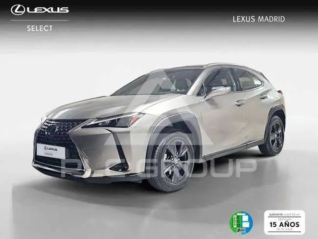 2022 Lexus UX250