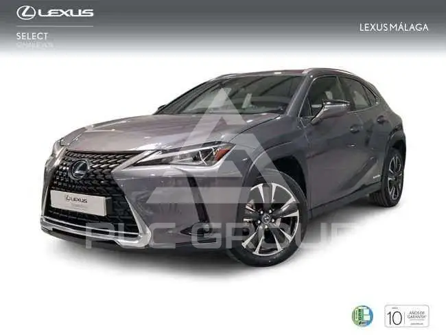 2022 Lexus UX250