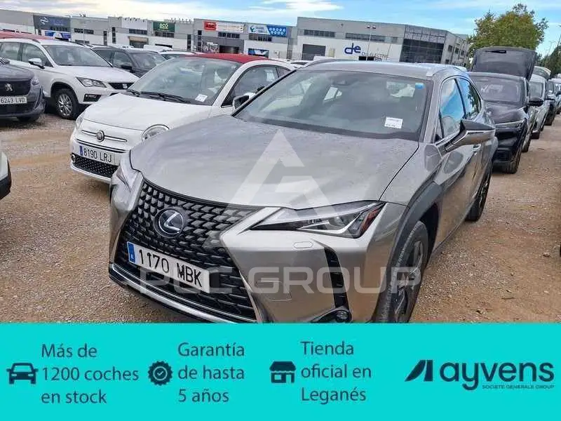 2022 Lexus UX250