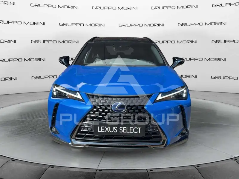 2022 Lexus UX250