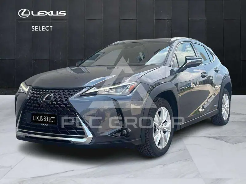 2022 Lexus UX250