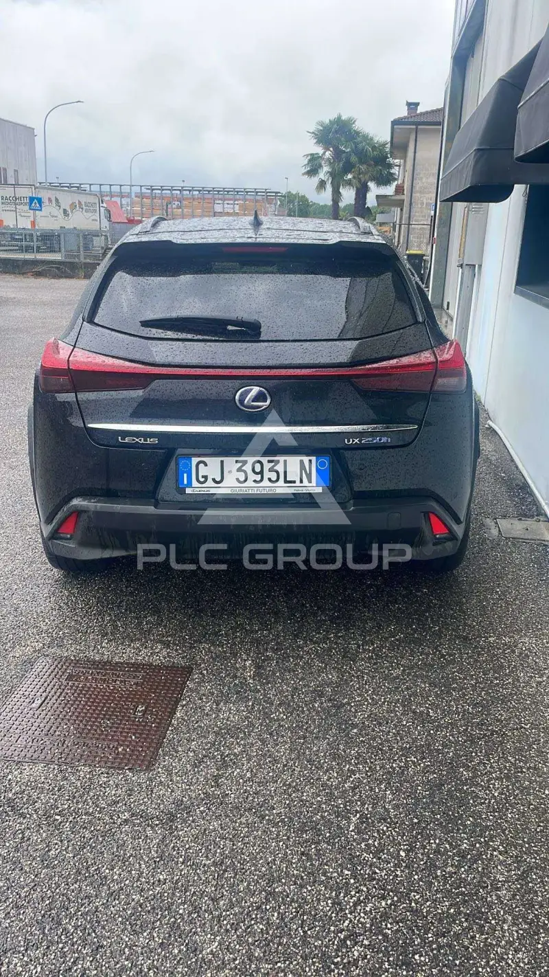 2022 Lexus UX250