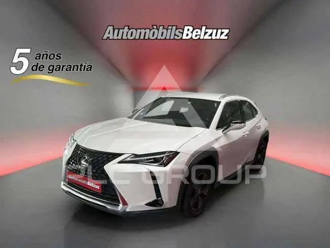2022 Lexus UX250