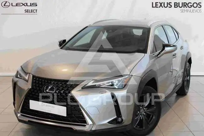 2022 Lexus UX250