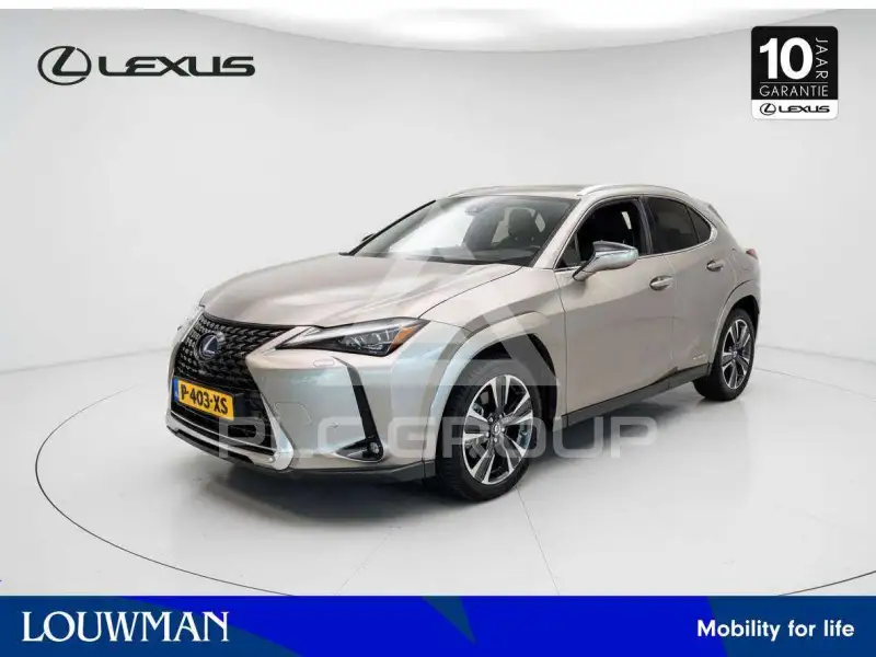 2022 Lexus UX250