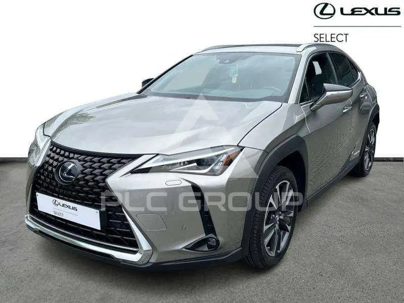 2022 Lexus UX250