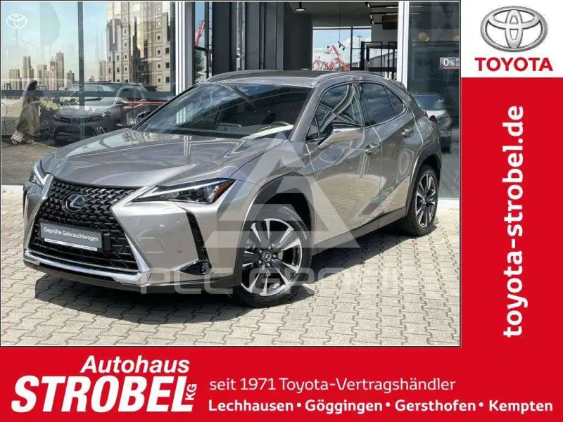 2022 Lexus UX250