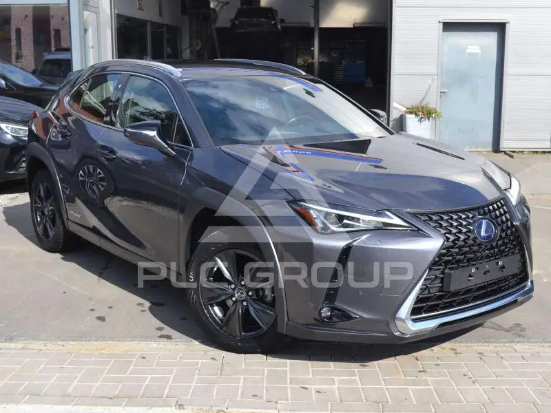 2022 Lexus UX250