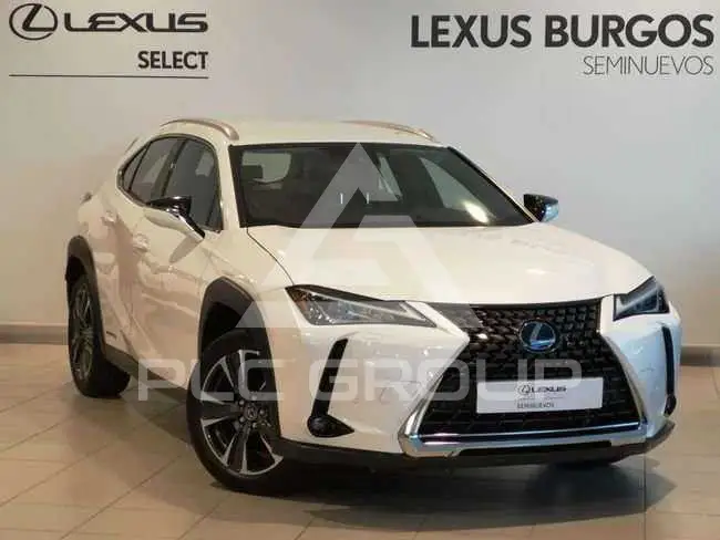 2022 Lexus UX250