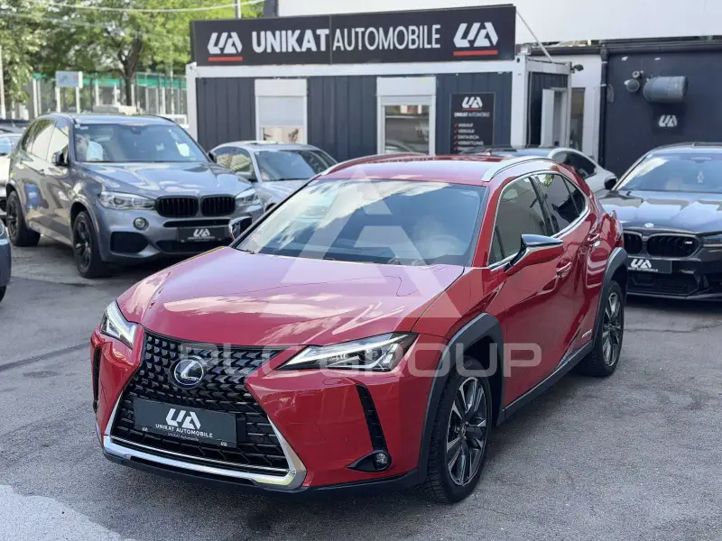 2022 Lexus UX250