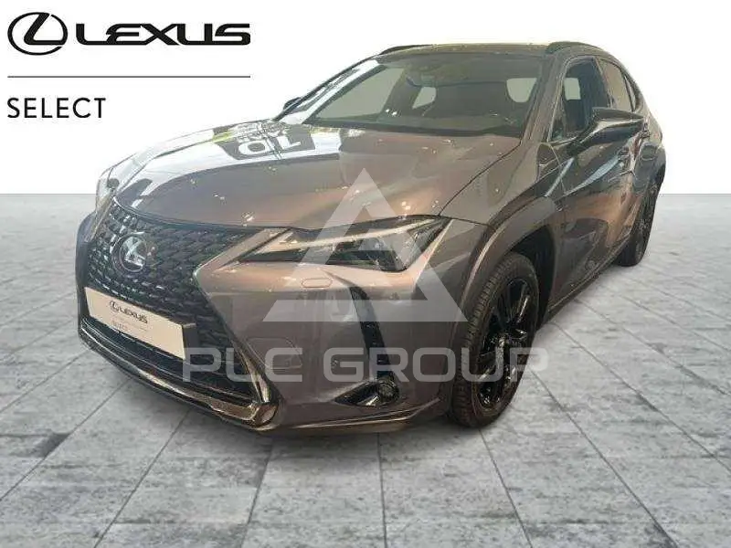 2022 Lexus UX250